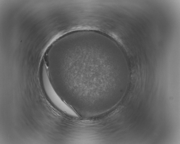 X0000078301173200611172140