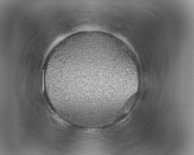 X0000078301175200611172140