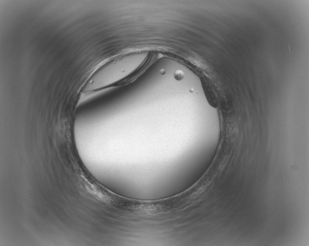 X0000078301177200611172140