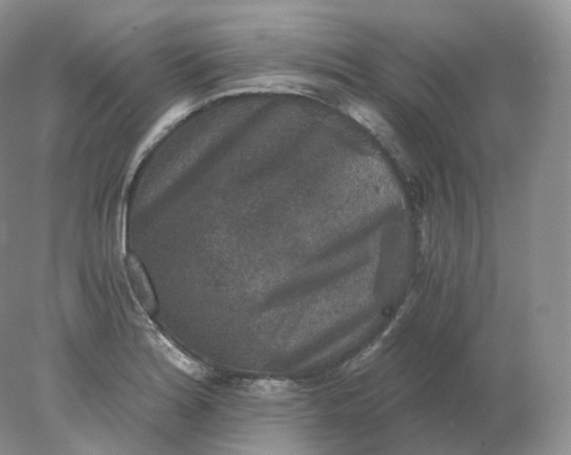 X0000078301180200611172140