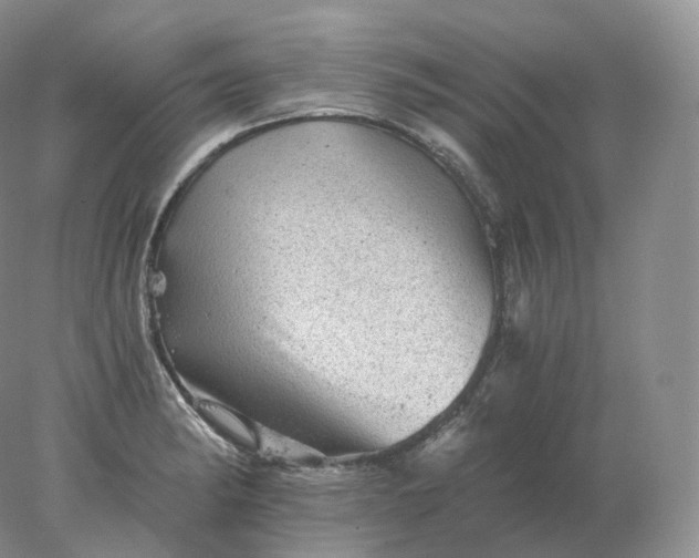 X0000078301182200611172140