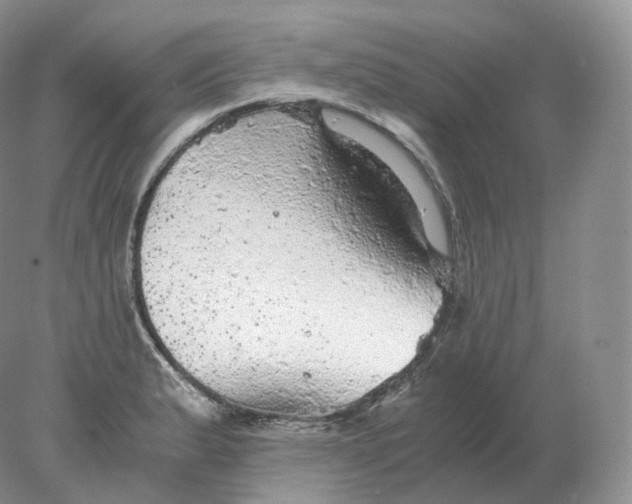 X0000078301183200611172140