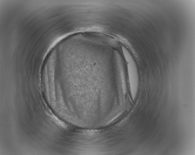 X0000078301184200611172140