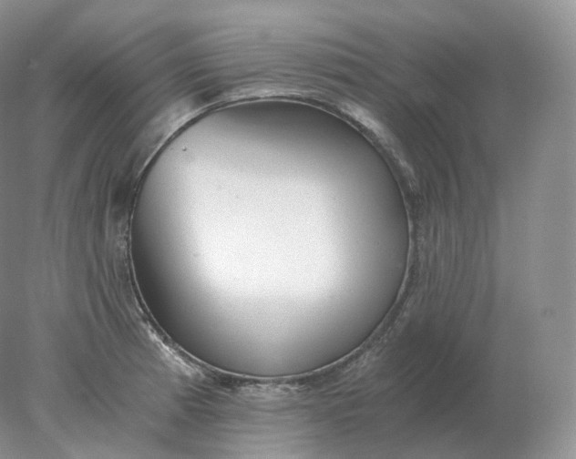 X0000078301185200611172140