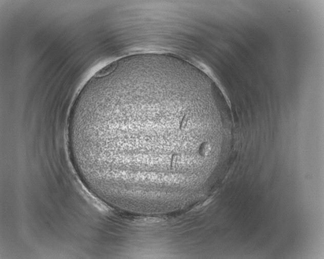 X0000078301187200611172140