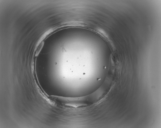 X0000078301188200611172140