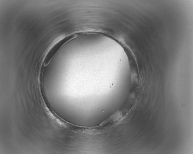 X0000078301189200611172140