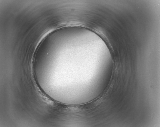 X0000078301190200611172140