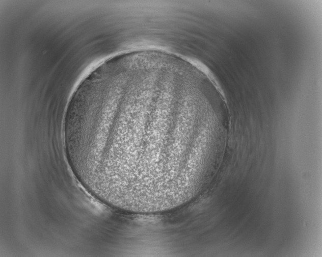 X0000078301191200611172140