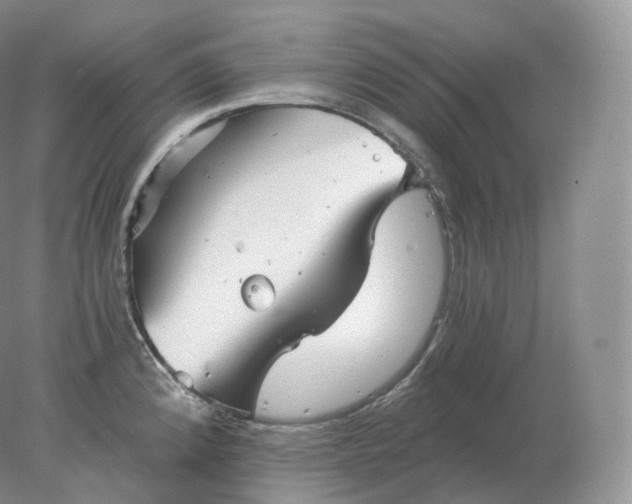 X0000078301192200611172140