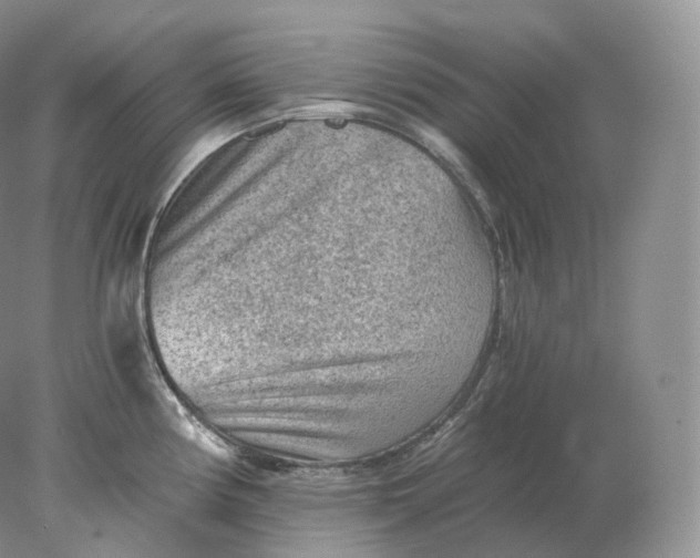 X0000078301194200611172140