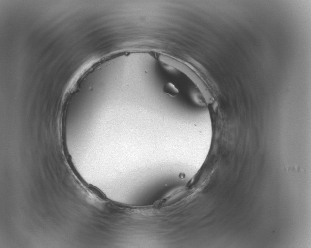 X0000078301196200611172140