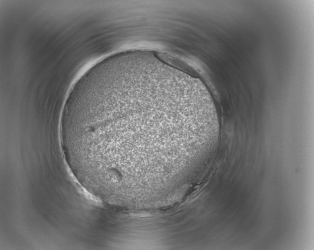 X0000078301199200611172140