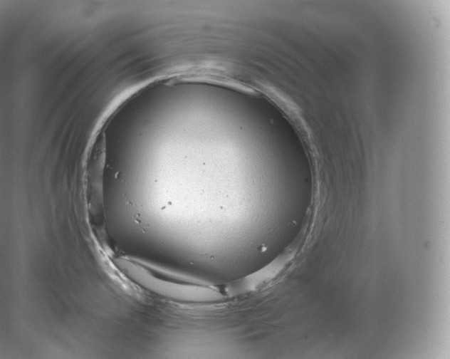 X0000078301200200611172140