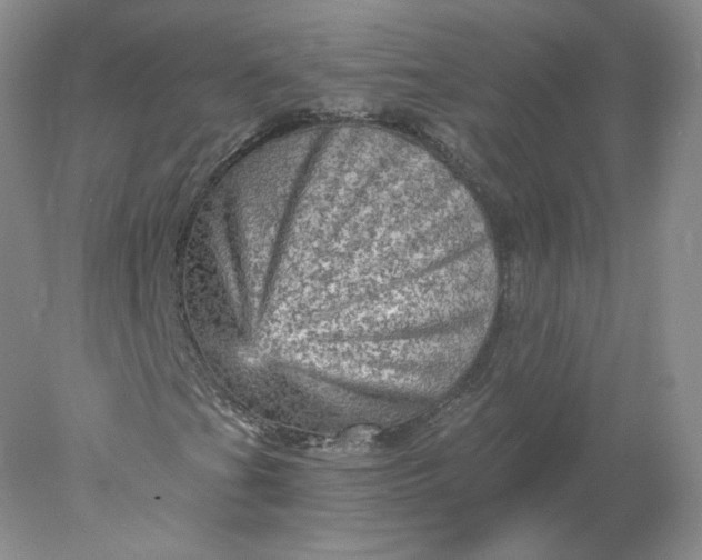 X0000078301201200611172139