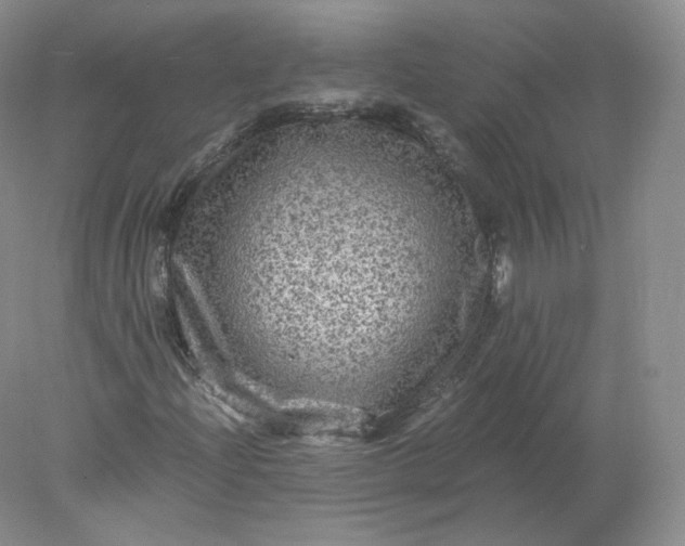 X0000078301204200611172139