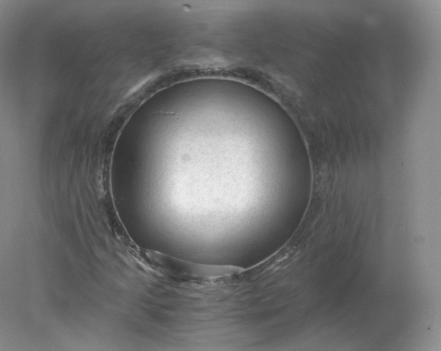 X0000078301205200611172139