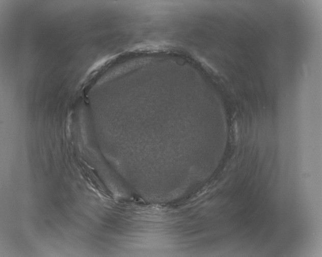 X0000078301206200611172139