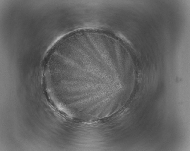 X0000078301208200611172139