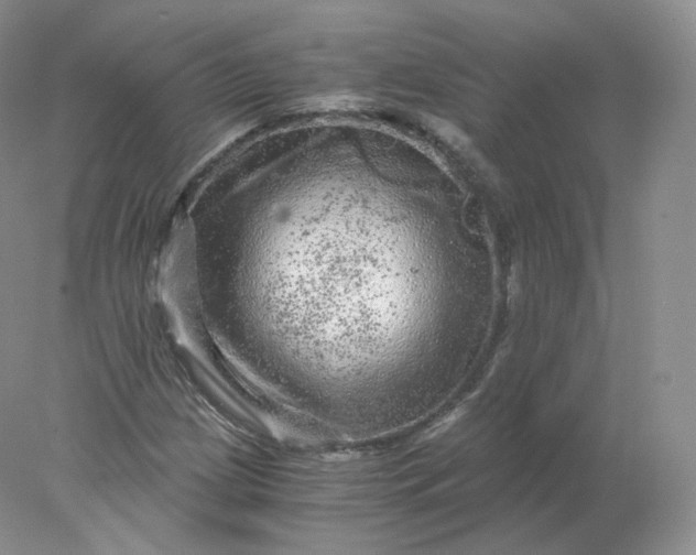 X0000078301209200611172139