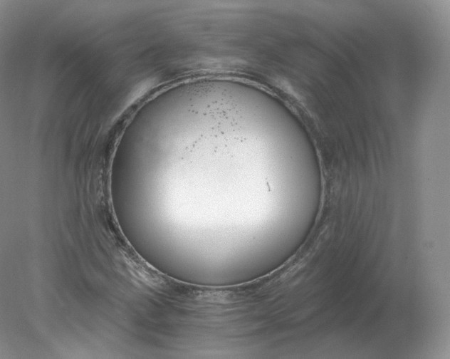 X0000078301211200611172139