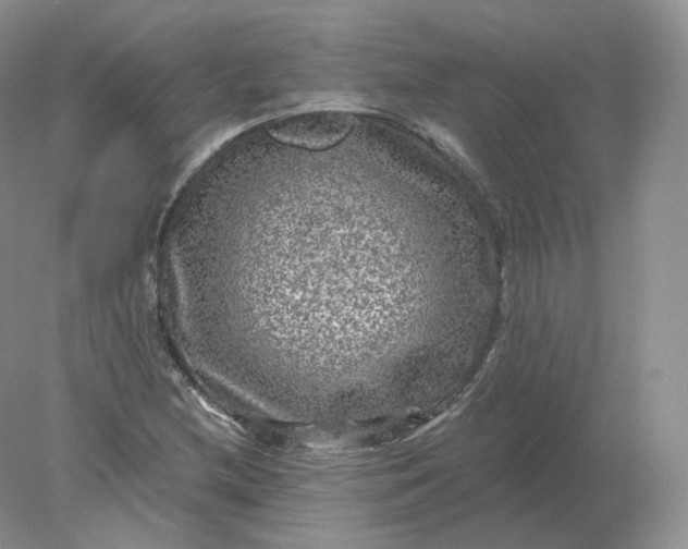 X0000078301212200611172139