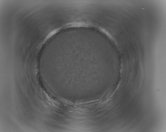 X0000078301213200611172139