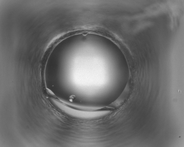 X0000078301214200611172139