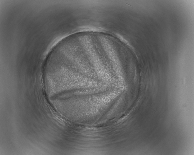 X0000078301215200611172139