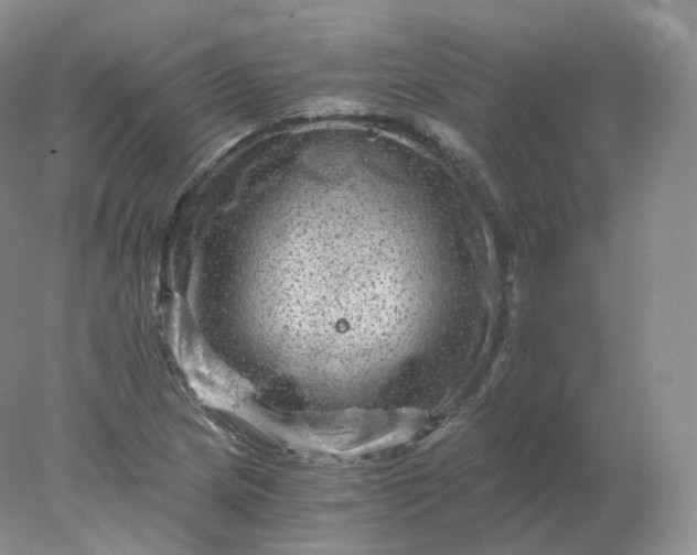 X0000078301217200611172139