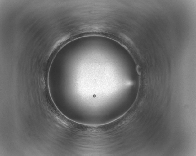 X0000078301218200611172139