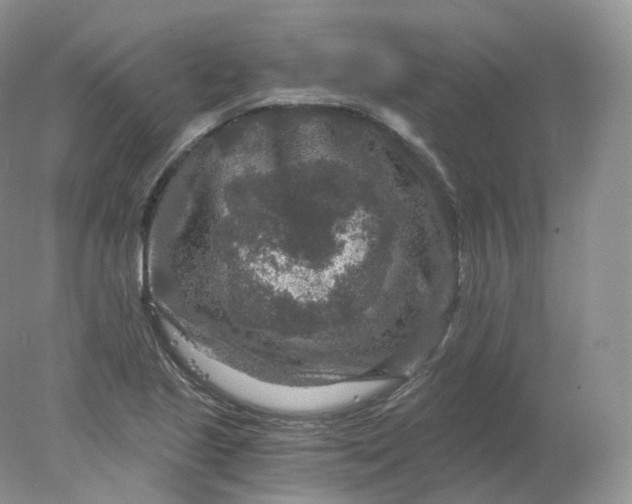 X0000078301221200611172139