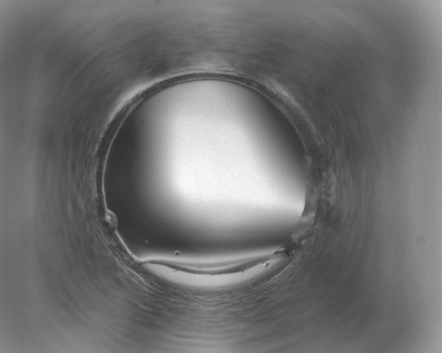 X0000078301222200611172140