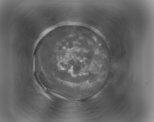 X0000078301223200611172140