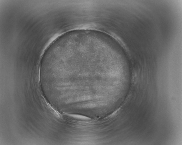 X0000078301224200611172140