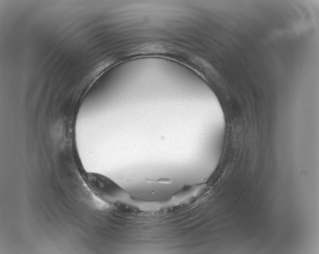 X0000078301225200611172140