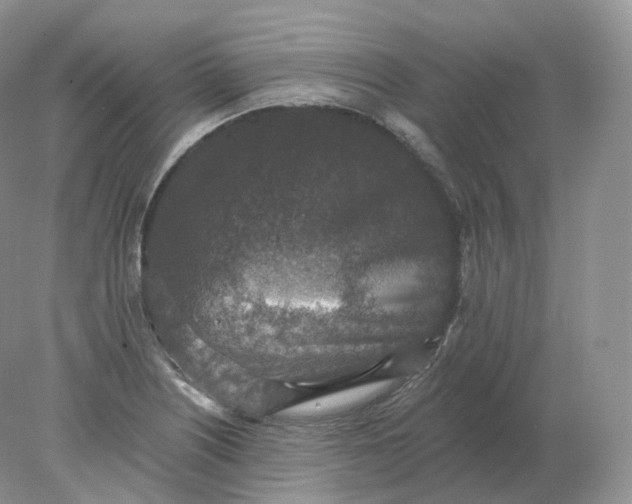 X0000078301226200611172140