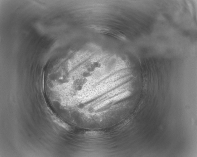 X0000078301227200611172140