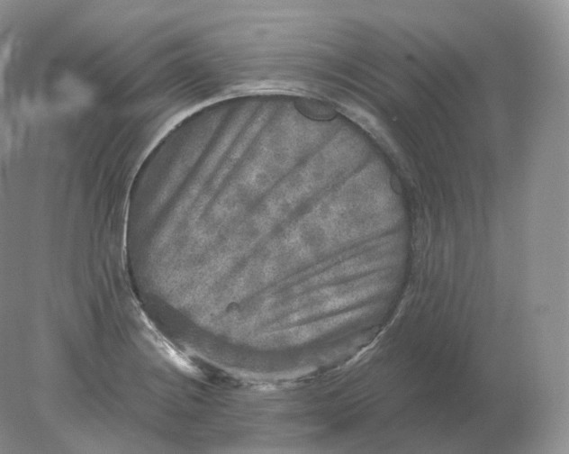 X0000078301228200611172140