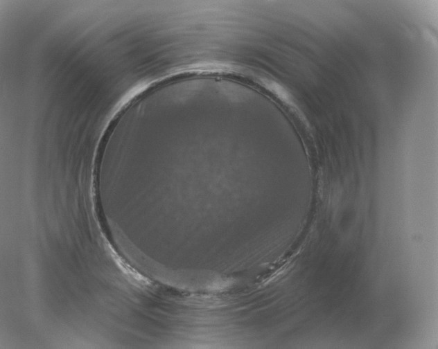 X0000078301229200611172140