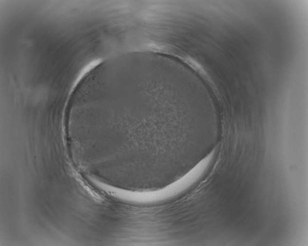 X0000078301230200611172140