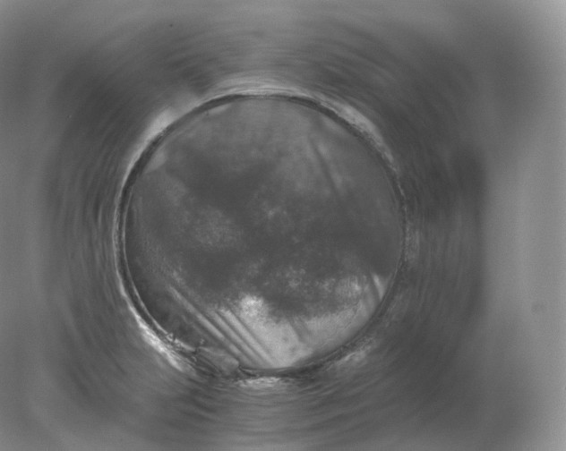 X0000078301231200611172140