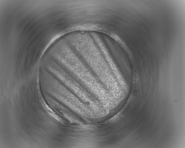 X0000078301232200611172140