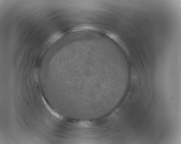 X0000078301233200611172140