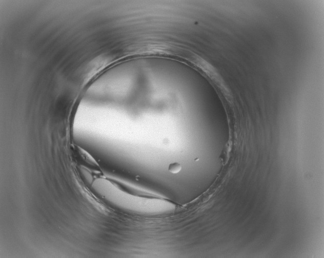 X0000078301234200611172140