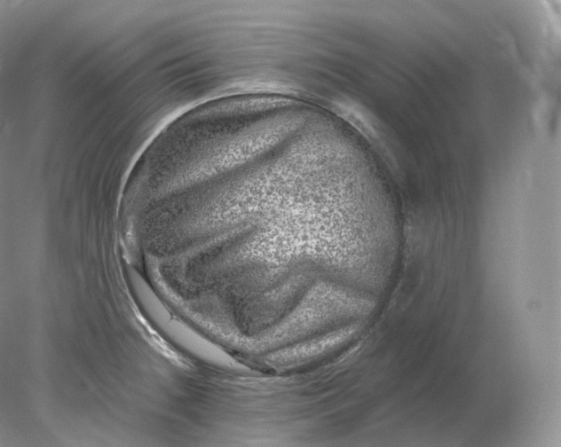 X0000078301236200611172140