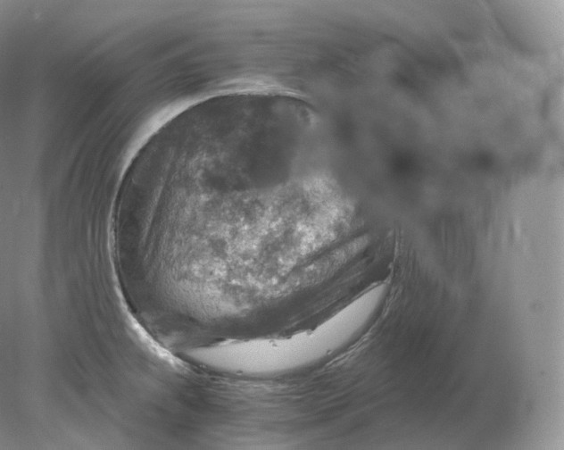 X0000078301239200611172140