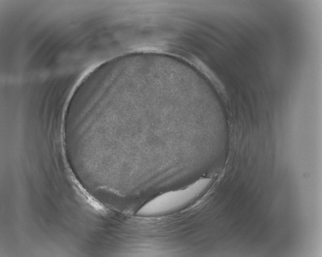 X0000078301240200611172140