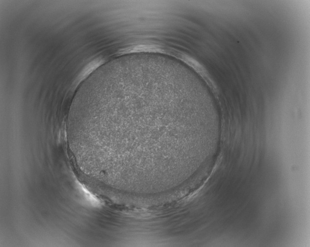 X0000078301241200611172140