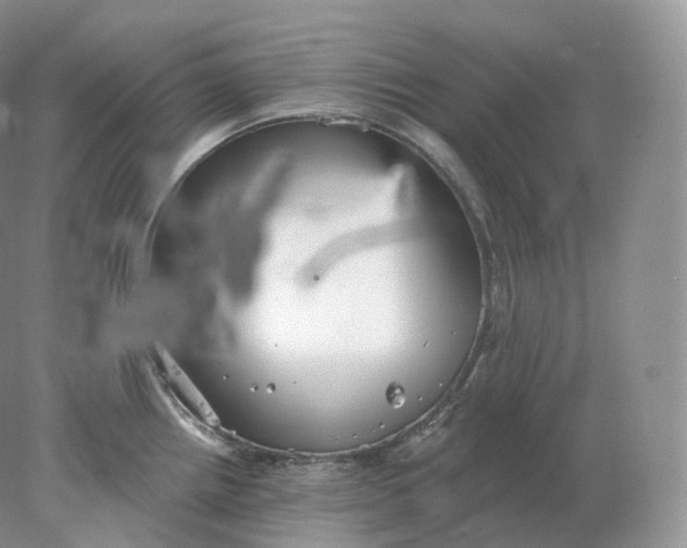 X0000078301242200611172140